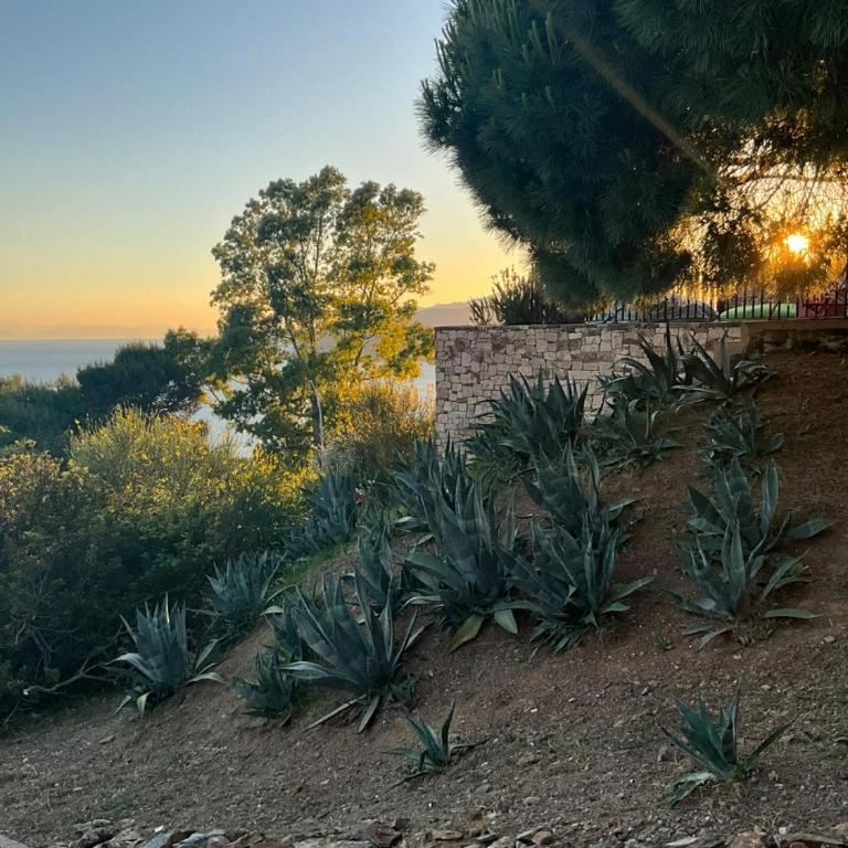 Residenza Rosso Di Sera - Appartamento con Vista Mare - 15