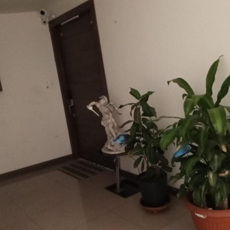 Departamento con jacuzzi 5 piso Condado 2 habitaciones - Apartamento de 2 dormitorios - 85