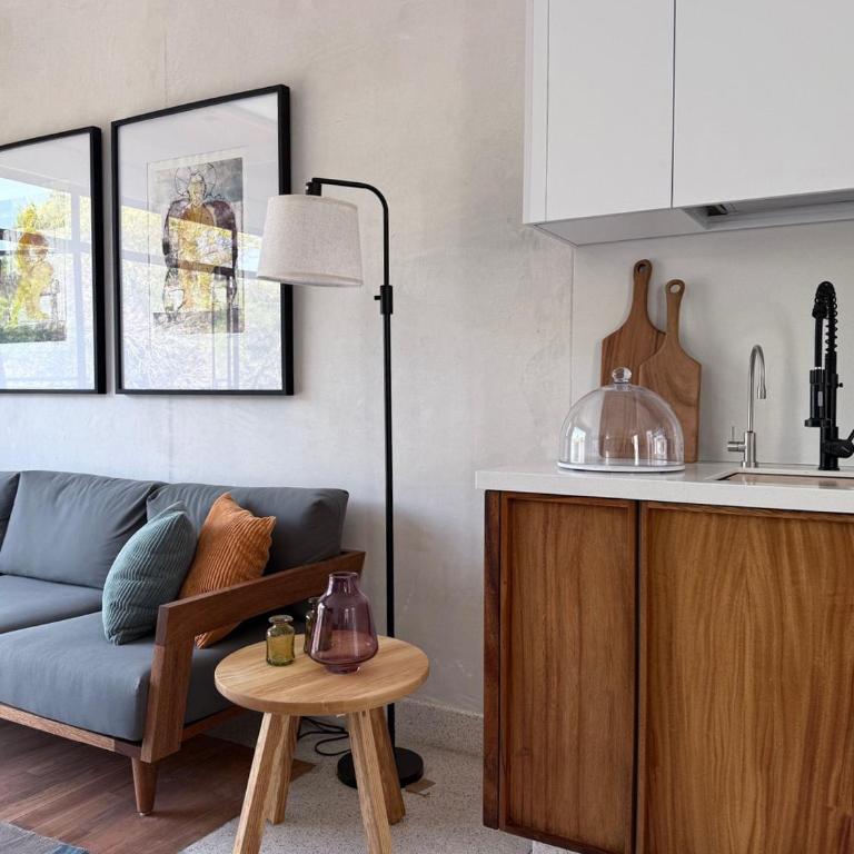 Design Apartment in Beautifully Restored Building in Roma Norte - One-Bedroom Apartment - 2