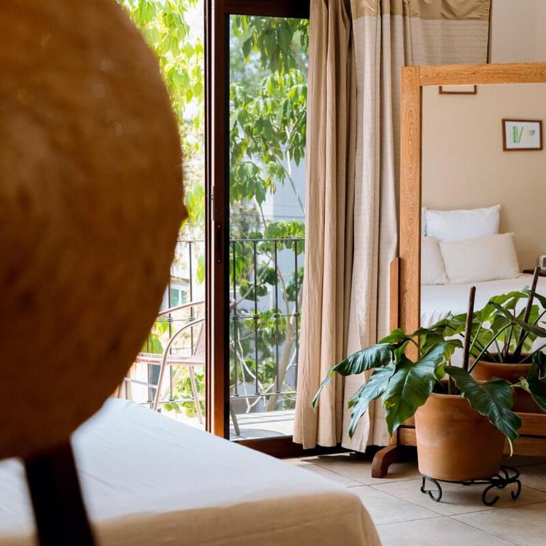 Casa Hibiscus Zaachila 2F - Apartamento de 1 dormitorio - 7
