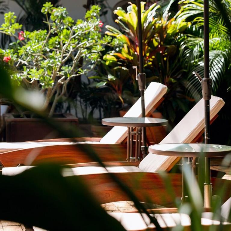 Casa Hibiscus Zaachila 2F - Apartamento de 1 dormitorio - 19