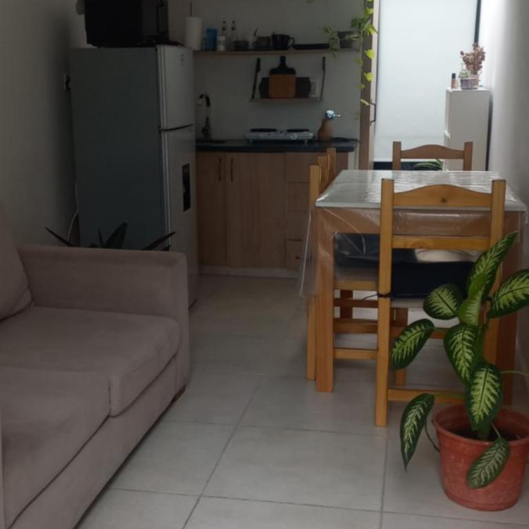 Roxy - Apartamento de 1 dormitorio - 4