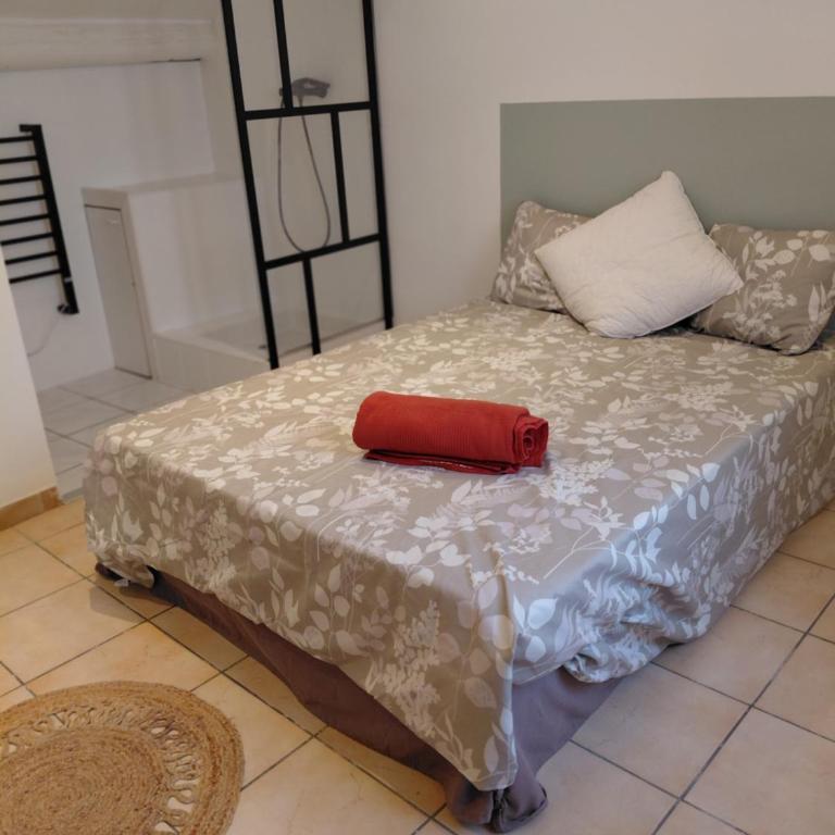 Coquet T2 - Apartment mit 1 Schlafzimmer - 4
