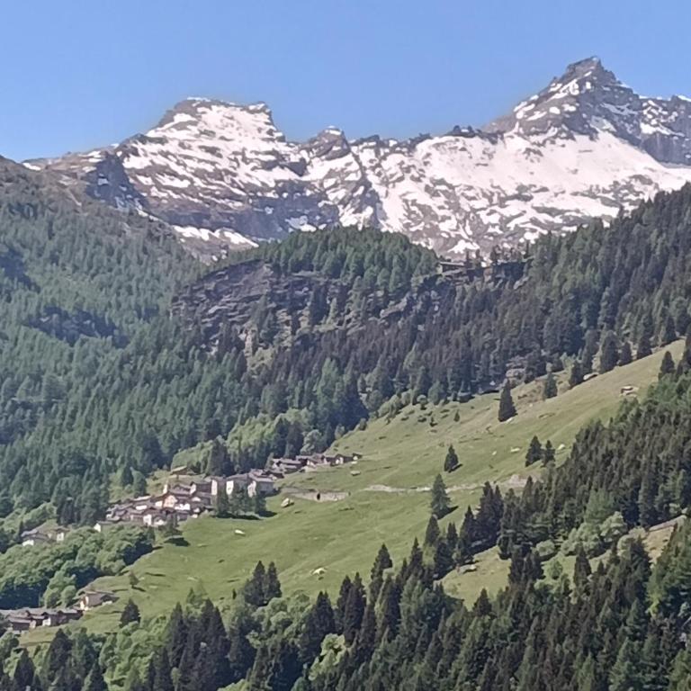 Appartamento La Primula - Casa con 3 Camere da Letto - 27