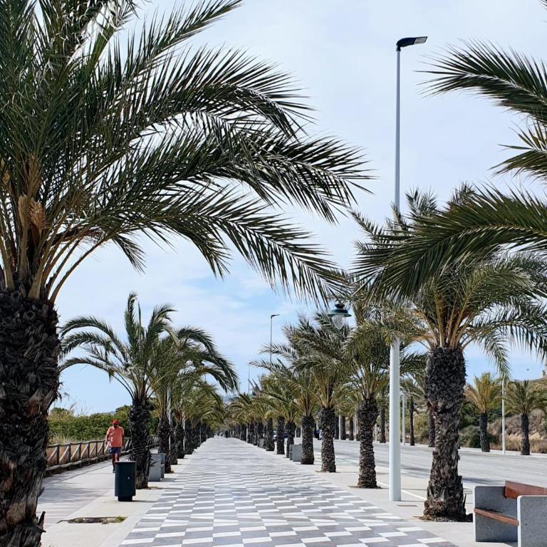 Villa Amparina - Apartamento de 2 dormitorios - 44
