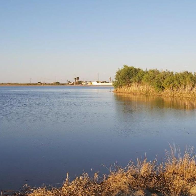 BASSA MARQUESA - Casa rural en el Delta del Ebro - Three-Bedroom Vacation Home - 22
