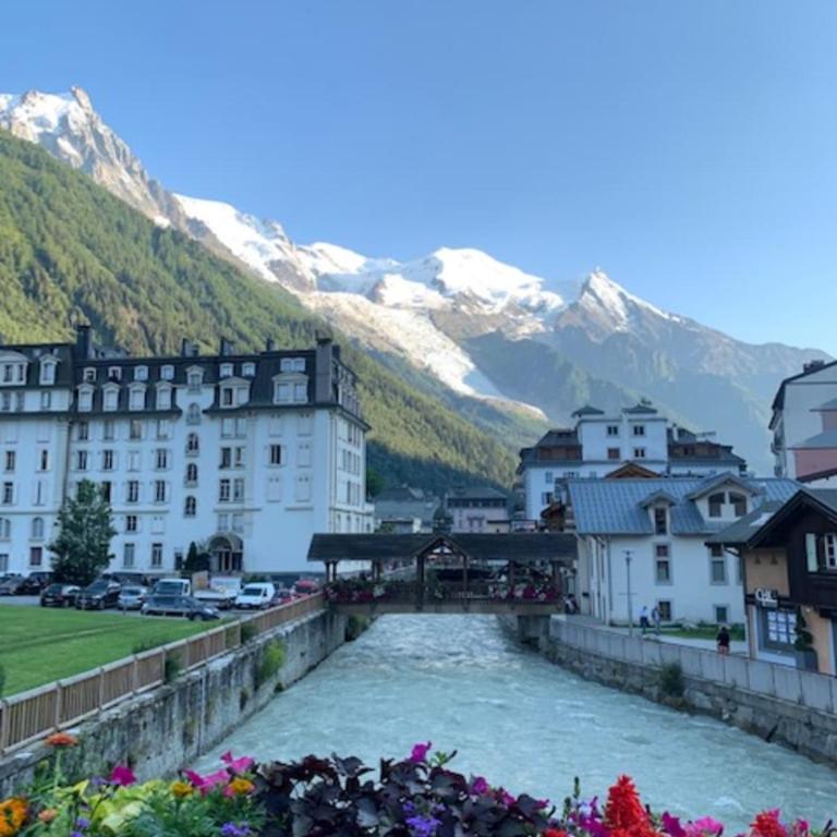 Joli apt avec parking et vue Mont Blanc - Appartement - 13