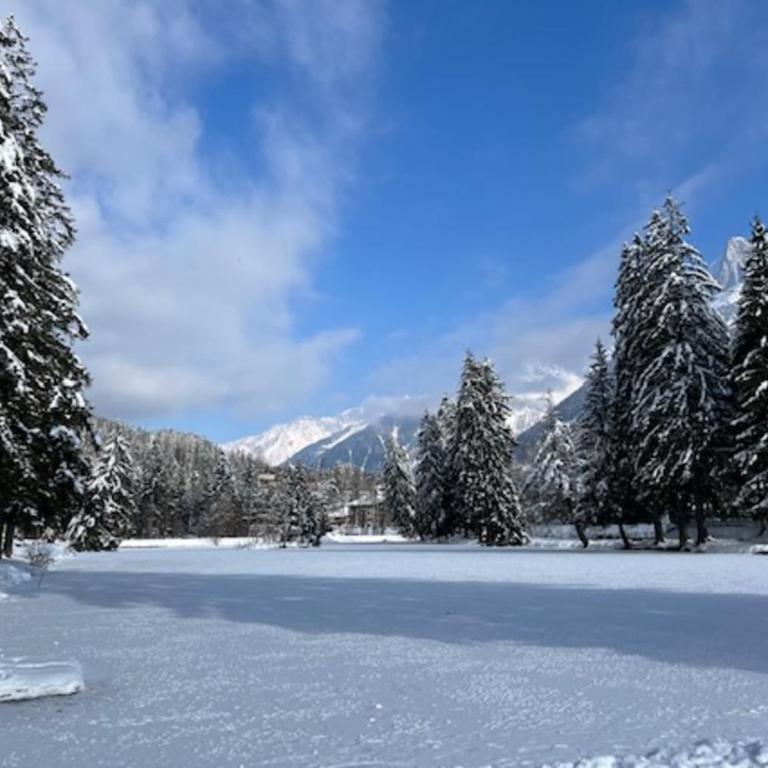 Joli apt avec parking et vue Mont Blanc - Appartement - 12
