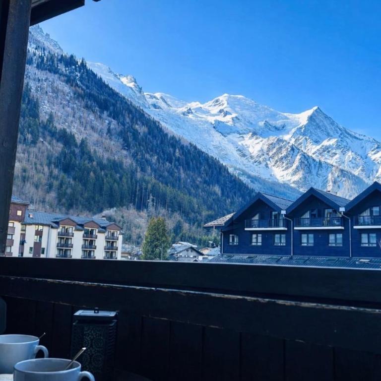 Joli apt avec parking et vue Mont Blanc - Appartement - 15