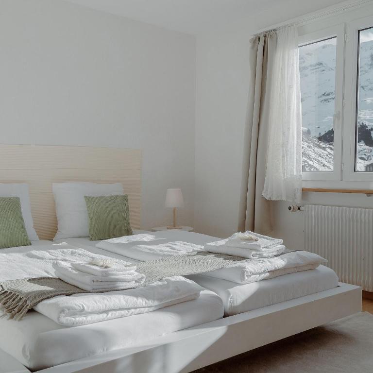 Mons Lodge 1769 - Apartment - 5