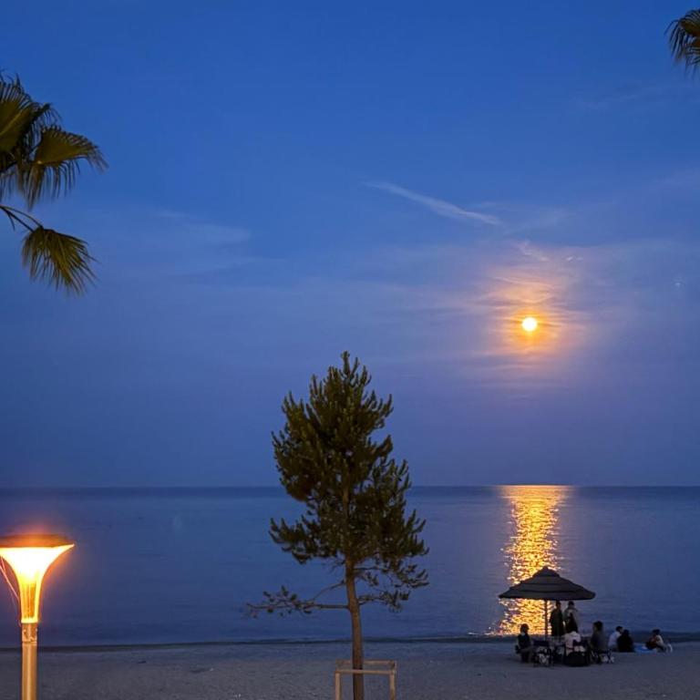 Magnificent beachfront villa - Villa - Côté Plage - 23