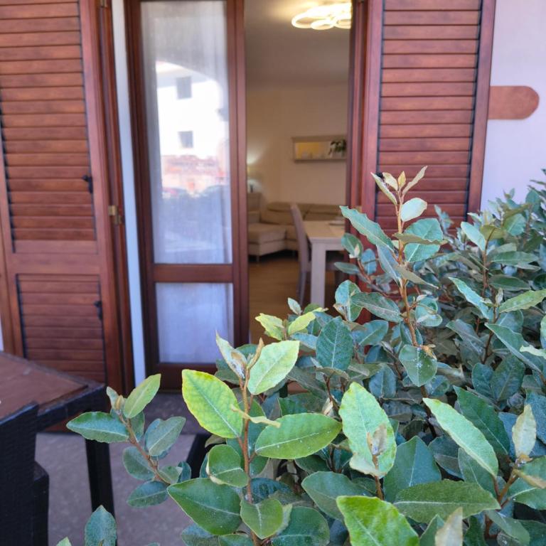 La Fortezza casa vacanze & appartament - Appartamento Deluxe - 29
