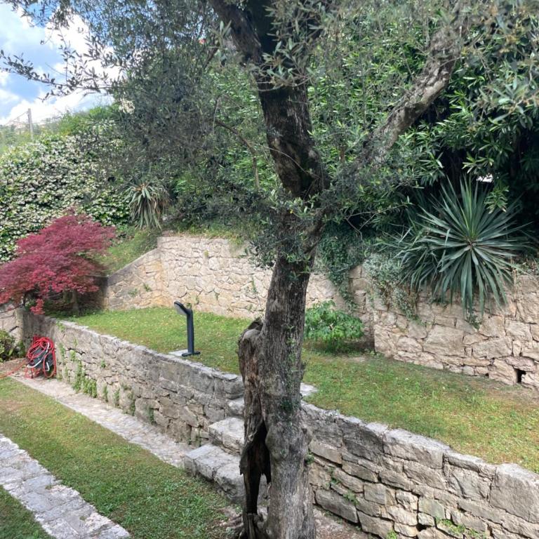 Casa Patrizia - Two-Bedroom Apartment - 14