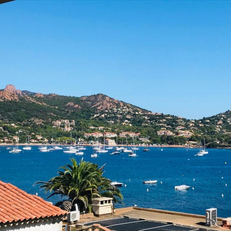 L effet mer agay - One-Bedroom Apartment - 10