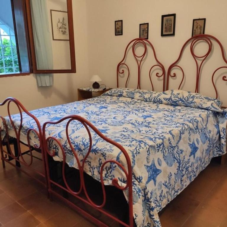 Sunny garden flat near the sea and the centre - Appartamento - 3