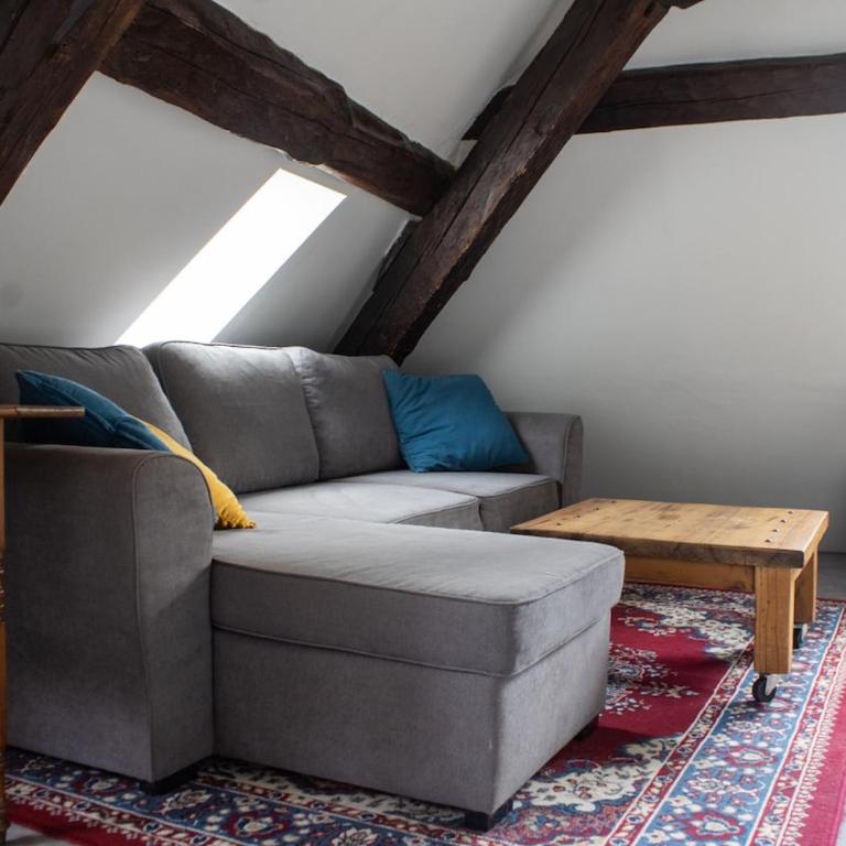 Annecy Old Town Loft - Appartement 2 Chambres - 1