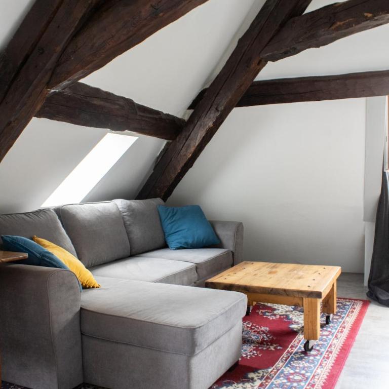 Annecy Old Town Loft - Appartement 2 Chambres - 4