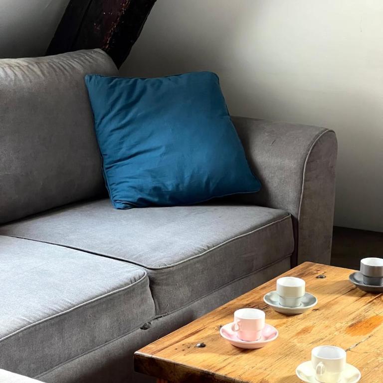 Annecy Old Town Loft - Appartement 2 Chambres - 10