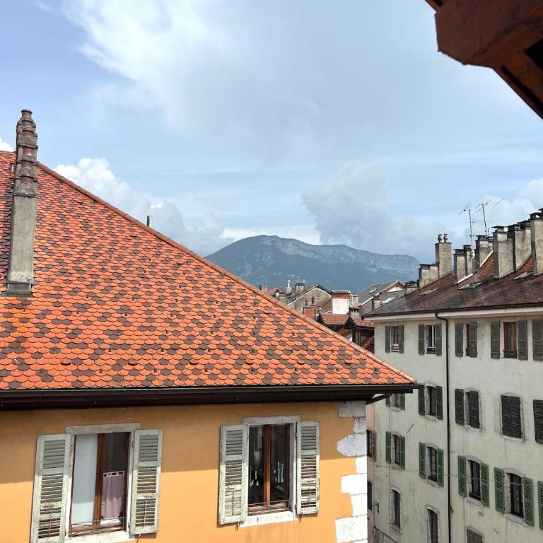 Annecy Old Town Loft - Appartement 2 Chambres - 15