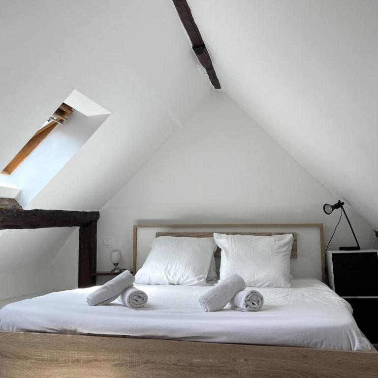 Annecy Old Town Loft - Appartement 2 Chambres - 21