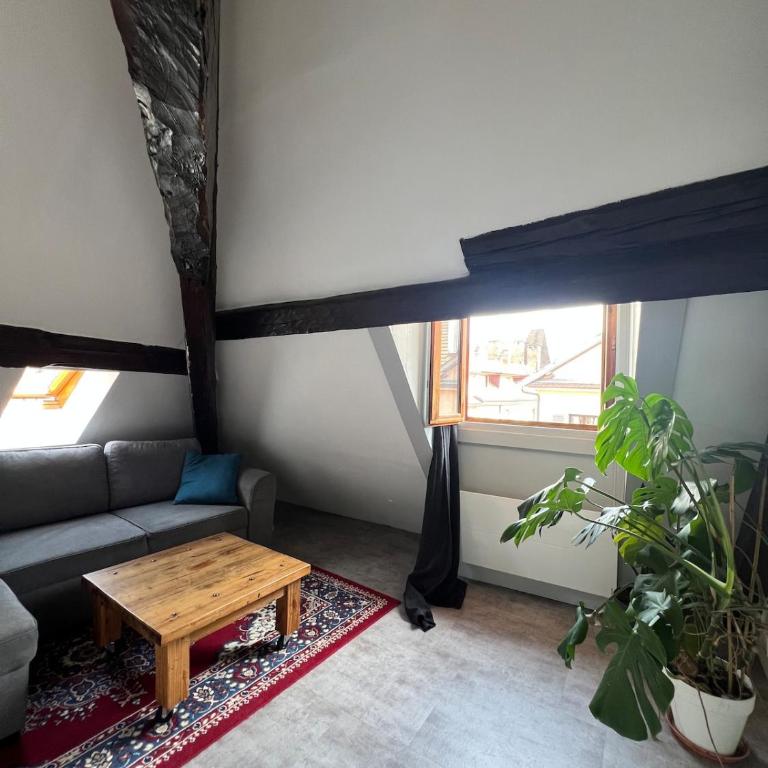 Annecy Old Town Loft - Appartement 2 Chambres - 24