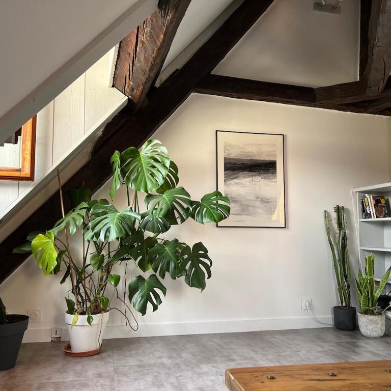 Annecy Old Town Loft - Appartement 2 Chambres - 26