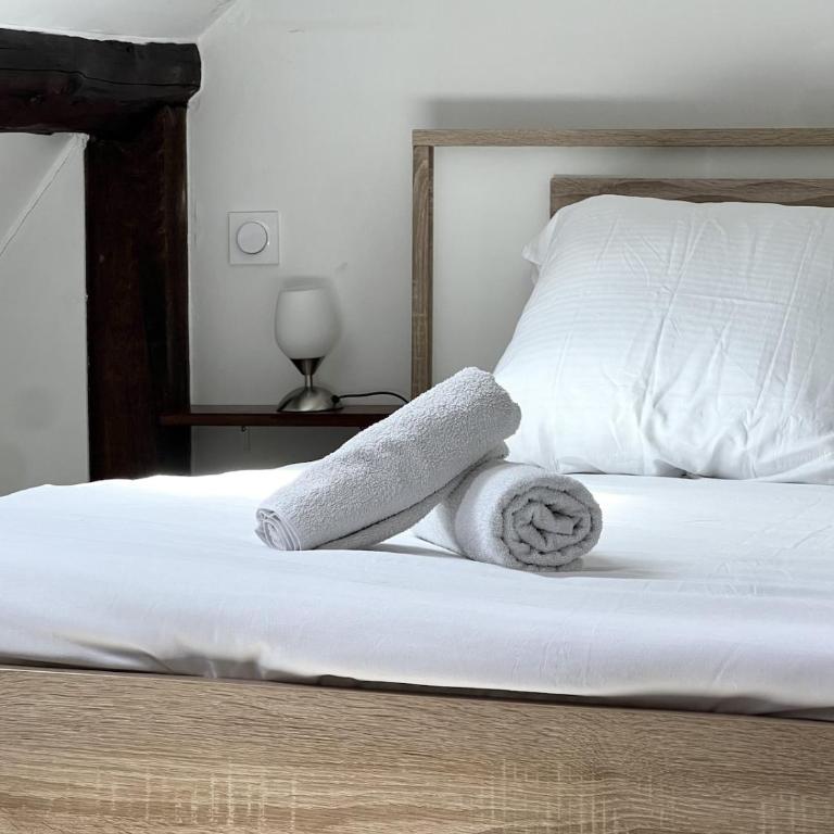 Annecy Old Town Loft - Appartement 2 Chambres - 29