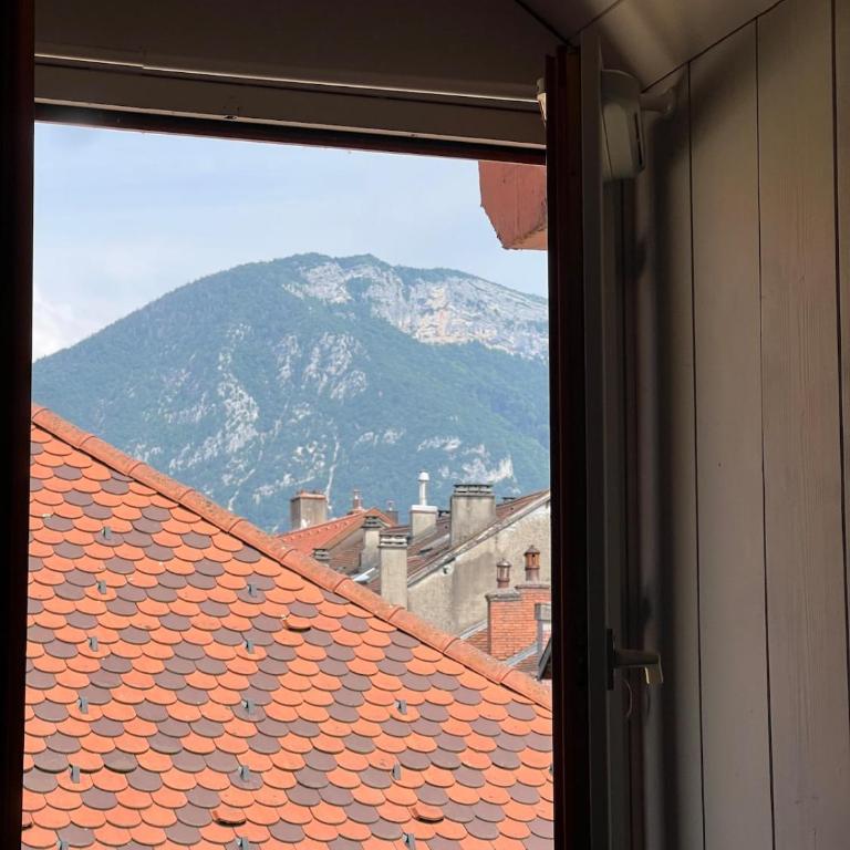 Annecy Old Town Loft - Appartement 2 Chambres - 30