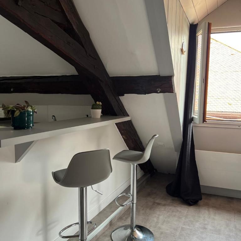Annecy Old Town Loft - Appartement 2 Chambres - 35