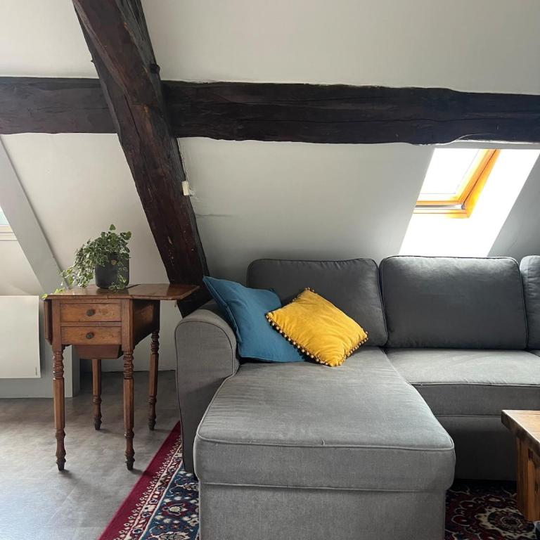 Annecy Old Town Loft - Appartement 2 Chambres - 36