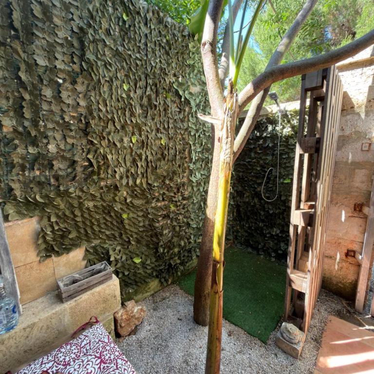 La canzone del sole - Two-Bedroom Apartment - 26