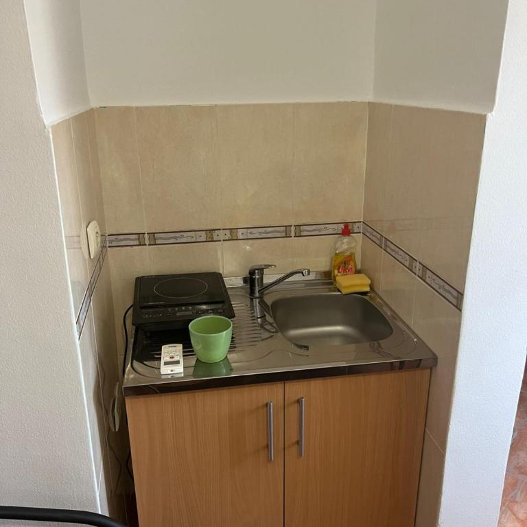 Apartmani Radosavovic - Apartman sa 1 Spavaćom Sobom - 2
