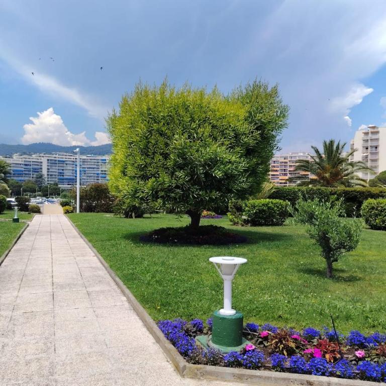Sleeps 4 - Garage - Swimming Pool - AC - Garden - Estudio - 17