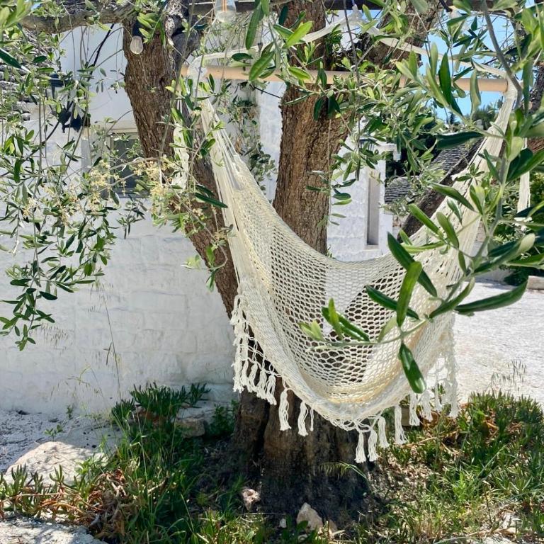 Trullo MA' - Casa con 1 Camera da Letto - 13