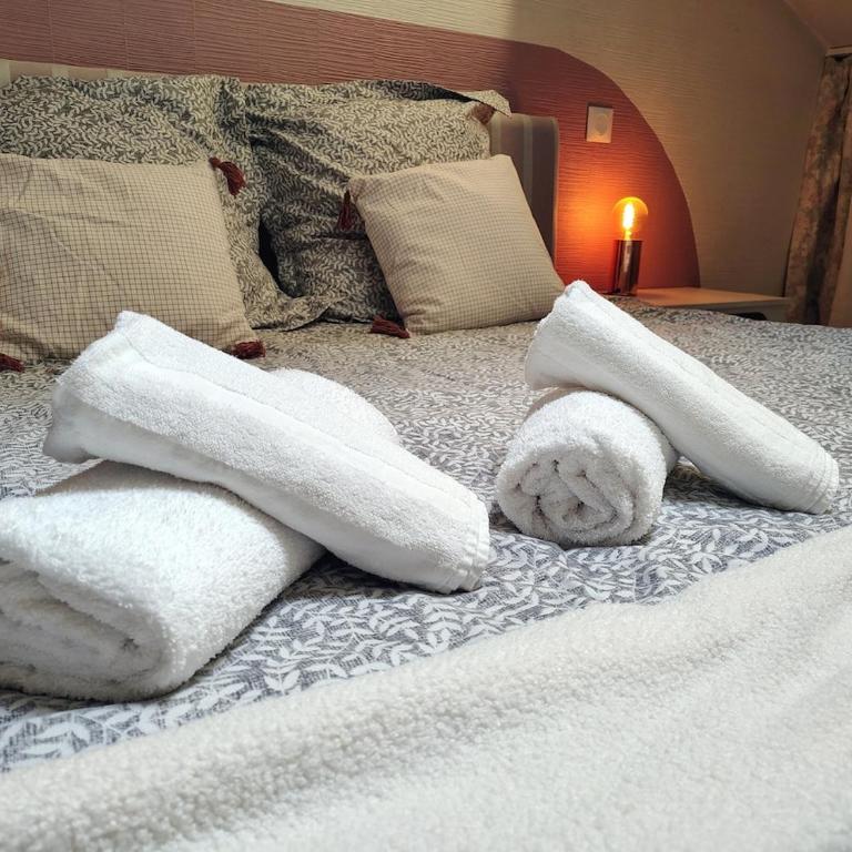 Appartement cosy 4 personnes à Toulouse centre-gare - Apartment mit 1 Schlafzimmer - 14