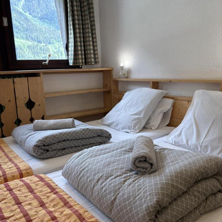 Alpenrose Chamonix - Standard Twin Room with Shared Bathroom - 5