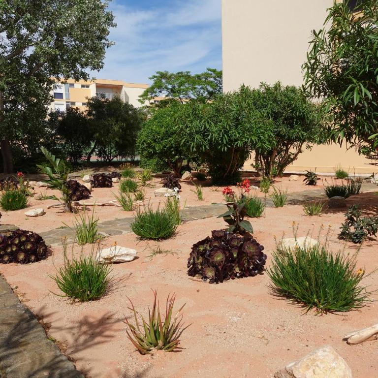 STUDIO LE LAVANDOU 150M Plage - Appartamento con 1 Camera da Letto - 21