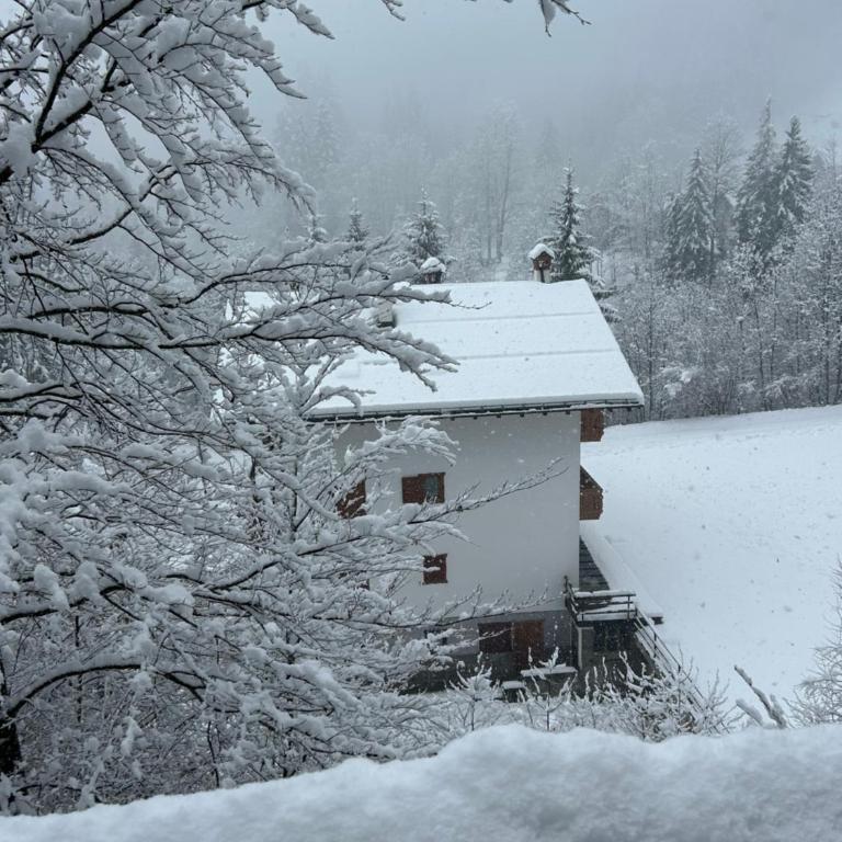 New Dolomites, Marmolada, San Pellegrino, Falcade - Appartamento con 3 Camere da Letto e Vista Montagna - 32