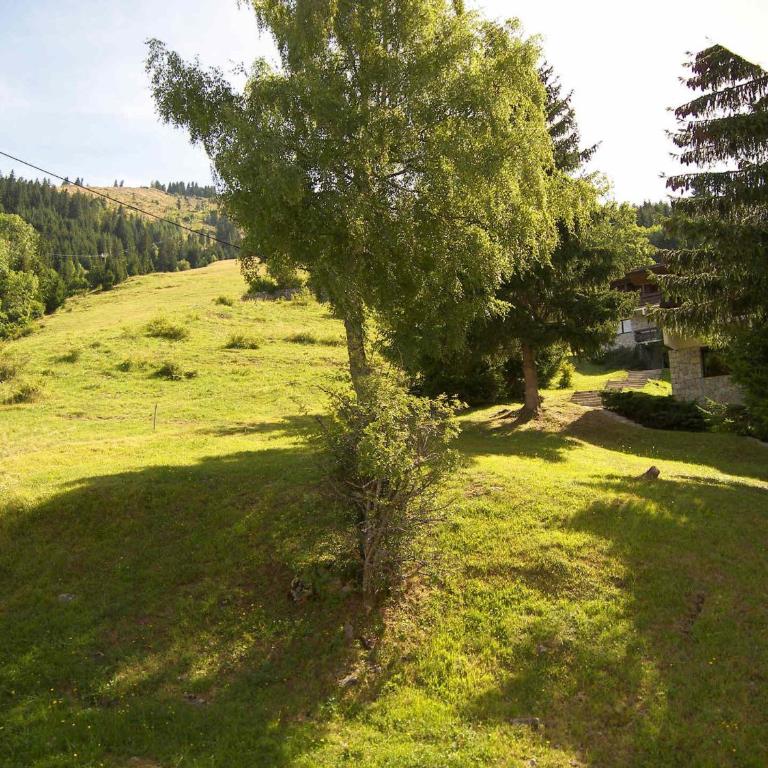 Accès direct pistes La Clusaz, 3 pièces, animaux acceptés - FR-1-304-151 - Apartment (6 Adults) - 11