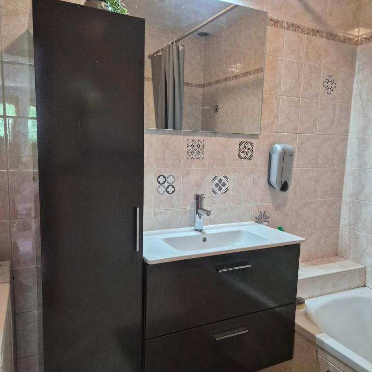 Au pied des montagnes. - Appartement 1 Chambre - 5