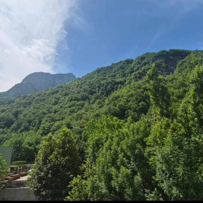 Au pied des montagnes. - Appartement 1 Chambre - 4