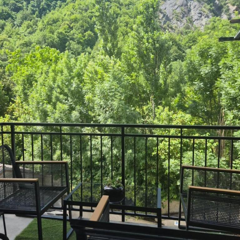 Au pied des montagnes. - Appartement 1 Chambre - 2