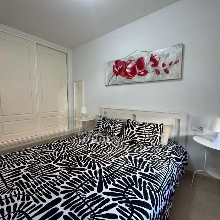 Stunning Sunrise on the Ocean - Apartment mit 1 Schlafzimmer - 4