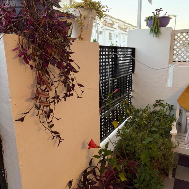 STUDIO -PATIO ANDALUZ- - Apartamento de 1 dormitorio - 42