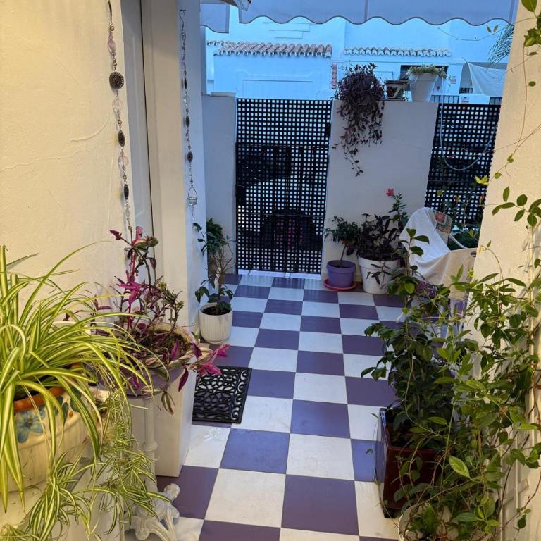 STUDIO -PATIO ANDALUZ- - Apartamento de 1 dormitorio - 34