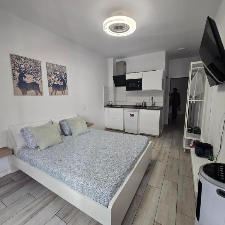 CoquetoHome - Appartamento con 1 Camera da Letto - 7