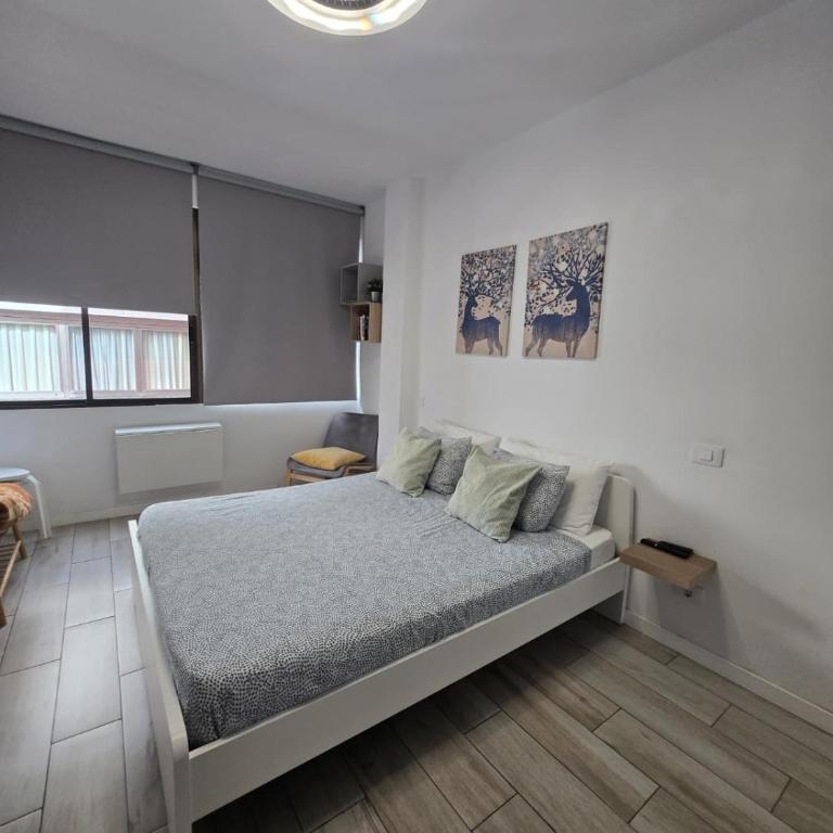CoquetoHome - Appartamento con 1 Camera da Letto - 13