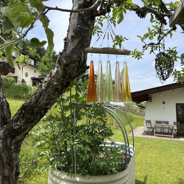 Bergnest Fieberbrunn - Appartamento con 1 Camera da Letto - 5