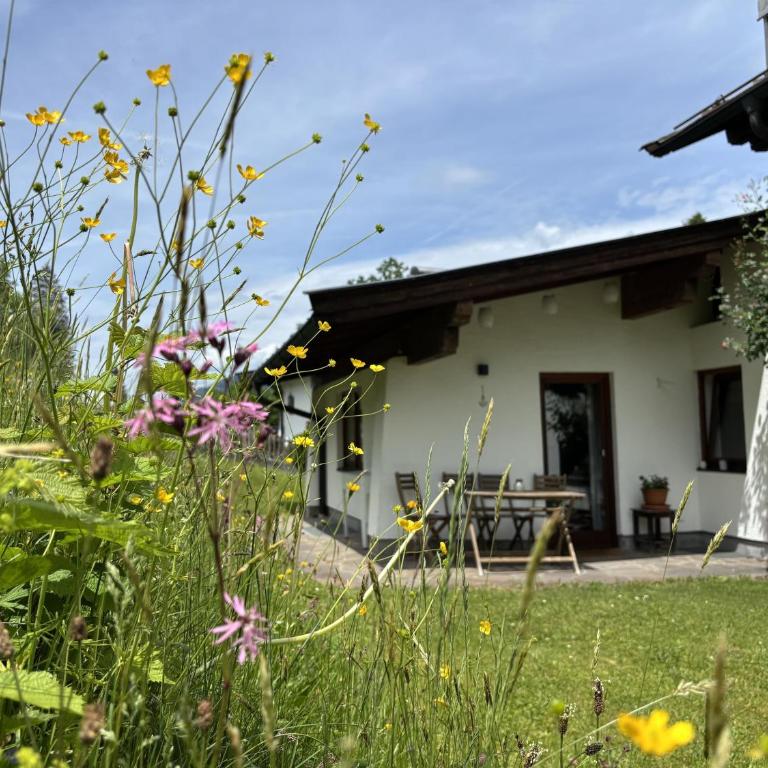 Bergnest Fieberbrunn - Appartamento con 1 Camera da Letto - 1