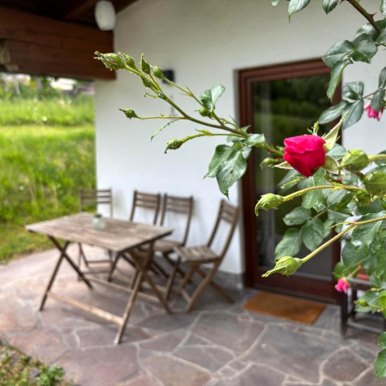 Bergnest Fieberbrunn - Appartamento con 1 Camera da Letto - 4